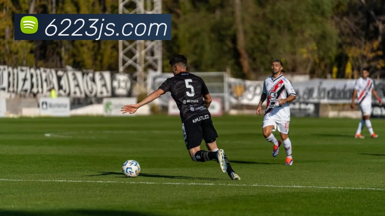 金沙集团平台生态图